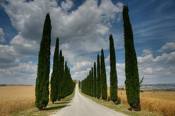 Tuscany and Umbria