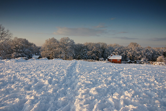 Snow
