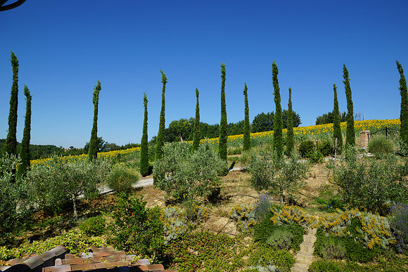 Tuscany and Umbria