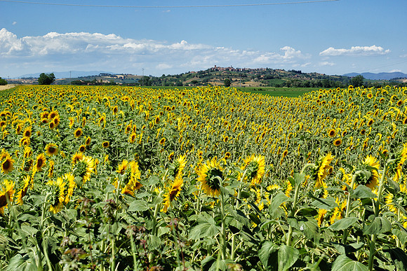 Tuscany and Umbria