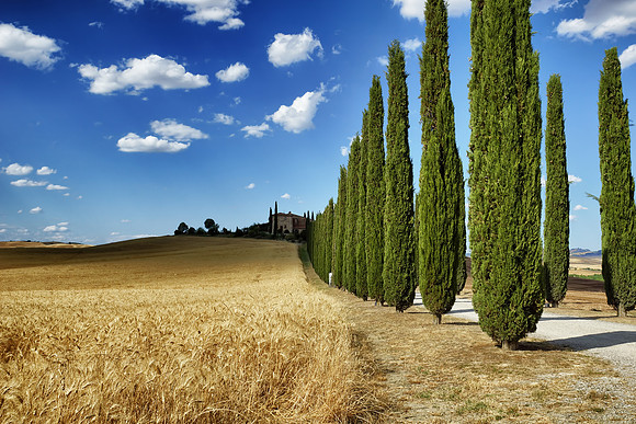 Tuscany and Umbria