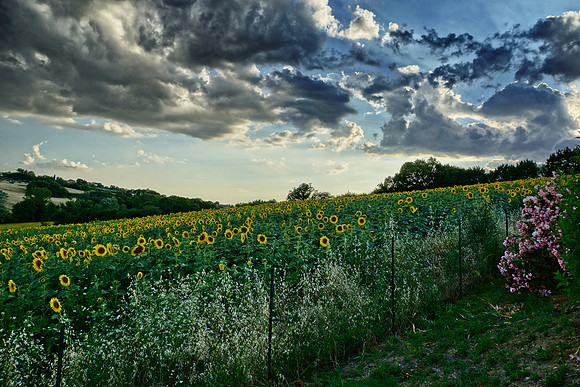 Tuscany and Umbria