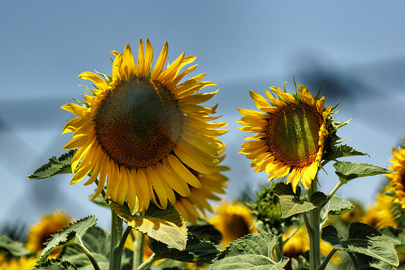Tuscany and Umbria