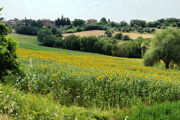 Tuscany and Umbria