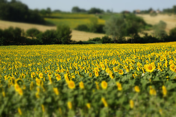 Tuscany and Umbria