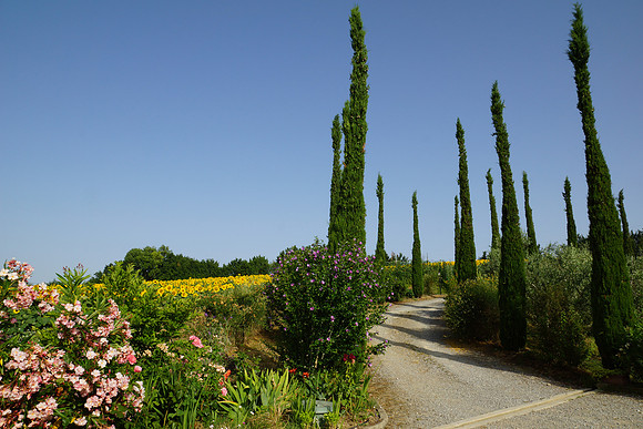 Tuscany and Umbria