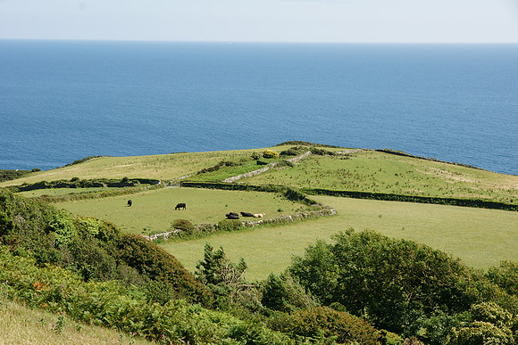 dartmouth