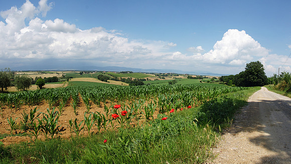 Tuscany