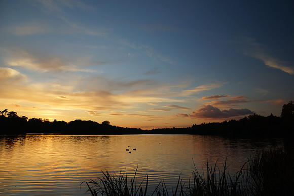 Virginna Water