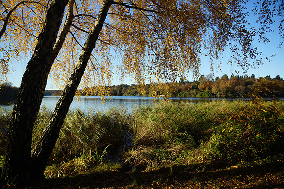 Virginna Water