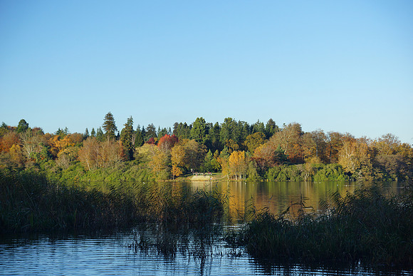 Virginna Water