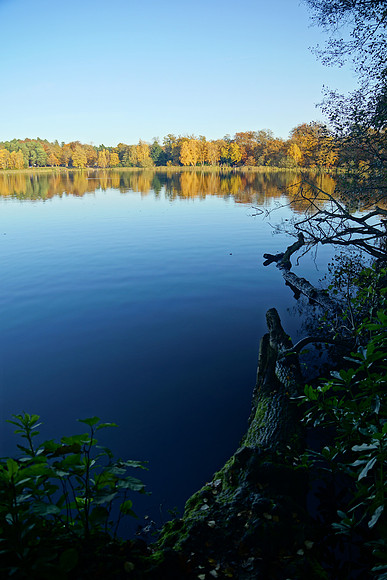 Virginna Water