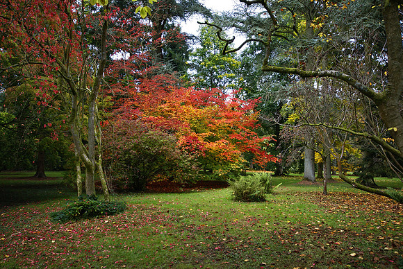 Westonbirt last edited 17.08.2026 previous 21/07/2025