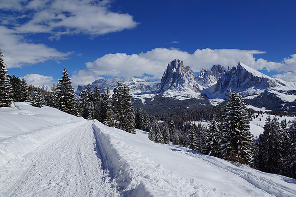 Alpe di Suisi - after snow, so amazing