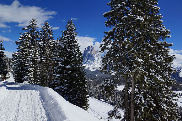 More Alpe di Suisi shots