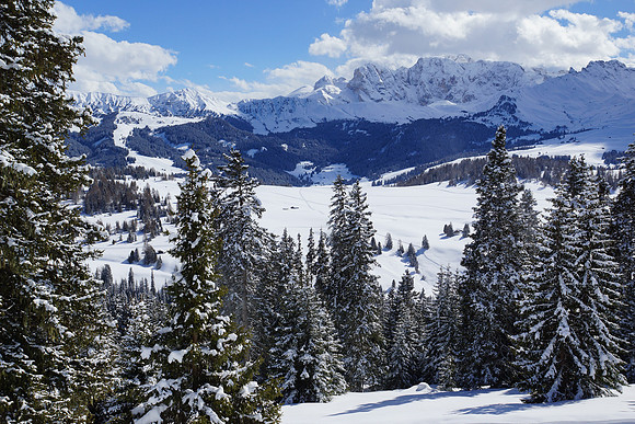 More Alpe di Suisi shots