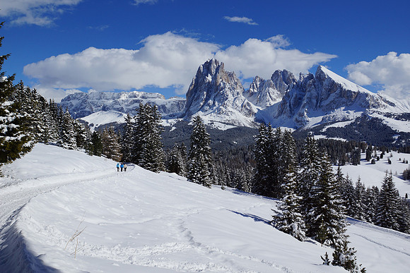 More Alpe di Suisi shots