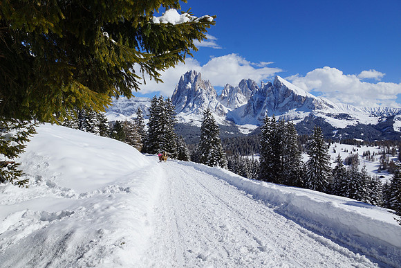 More Alpe di Suisi shots