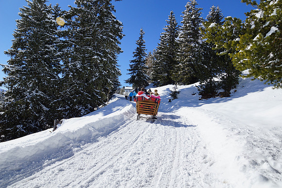 More Alpe di Suisi shots