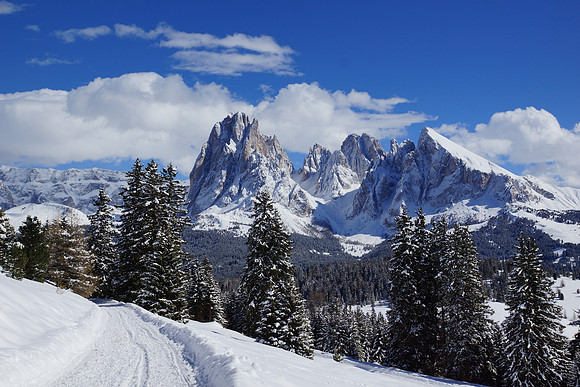 More Alpe di Suisi shots