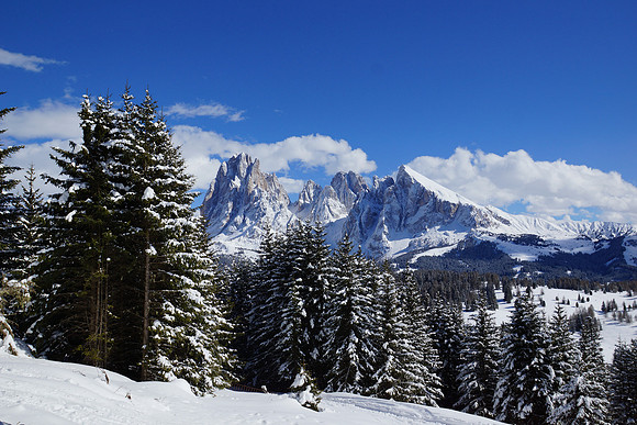 More Alpe di Suisi shots
