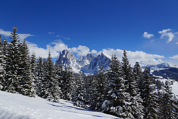 More Alpe di Suisi shots