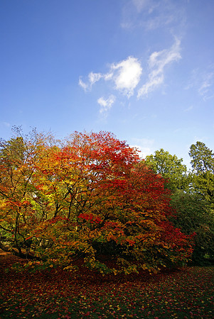 Westonbirt