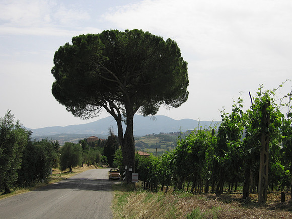 Tuscany