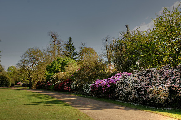 Valley Gardens