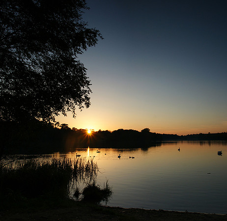 Virginna Water
