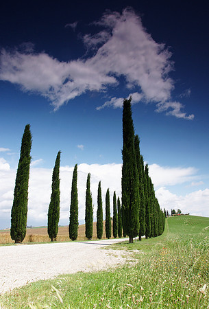 Tuscany