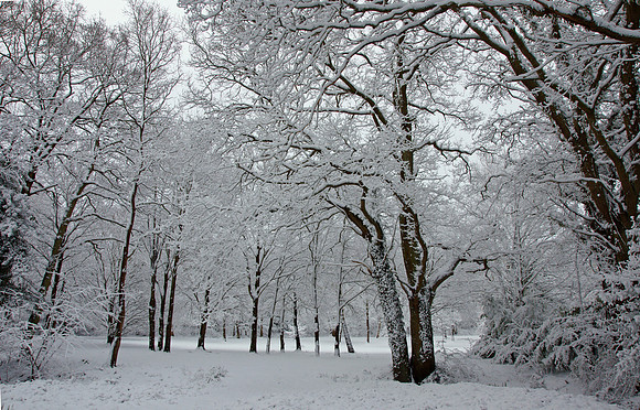 Snow