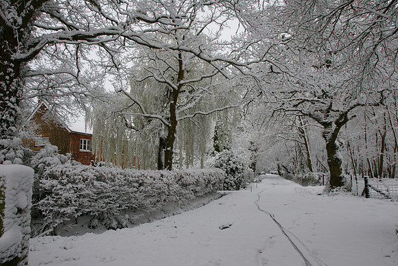 Snow