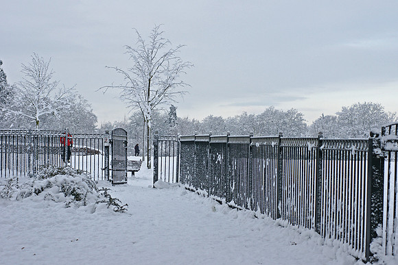 Snow