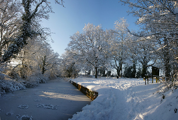 Snow