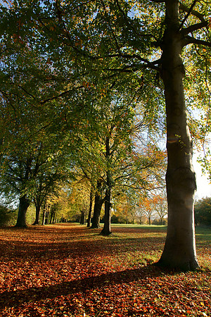 Farnham Park Autumn - last edited 17.08.2026 previous 21/07/2025