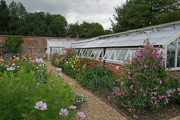 Hinton Ampner