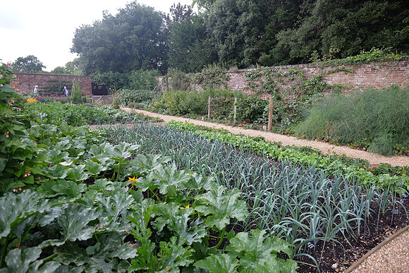 Hinton Ampner