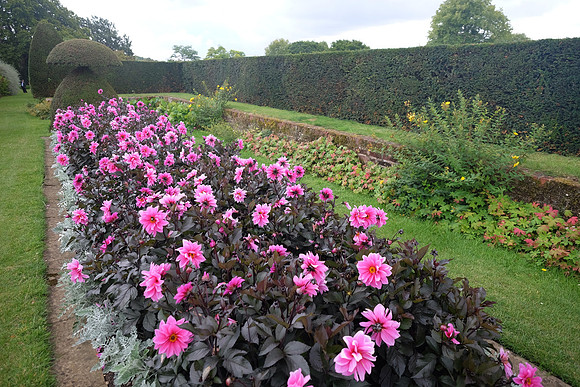 Hinton Ampner