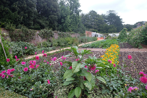 Hinton Ampner