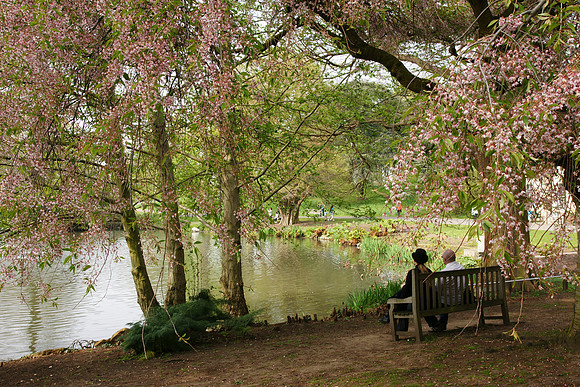Kew Gardens