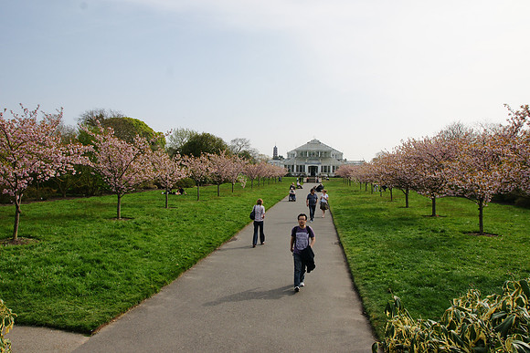 Kew Gardens
