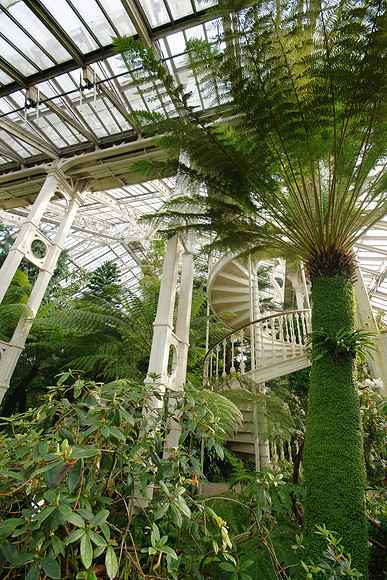 Kew Gardens