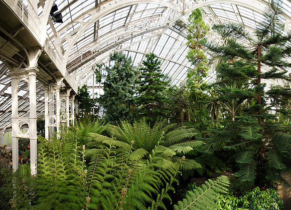 Kew Gardens