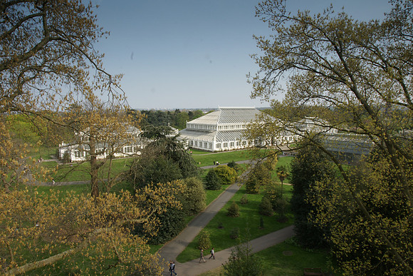 Kew Gardens