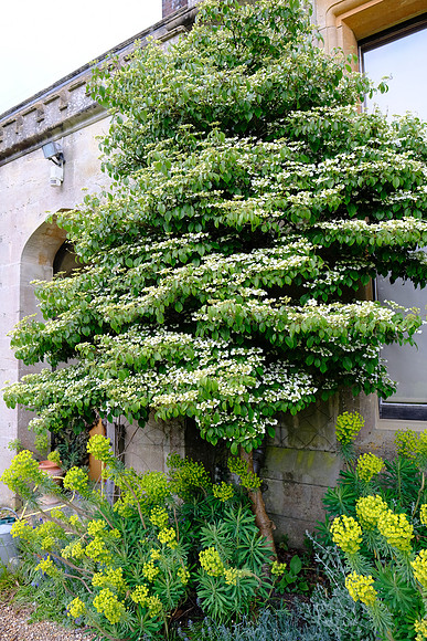 Rotherfield Park, Nr Alton