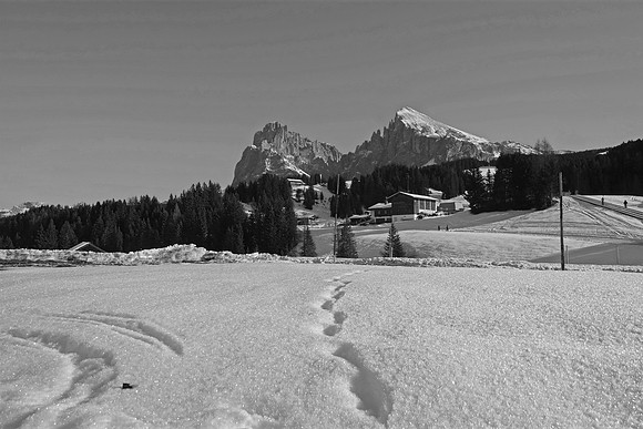 Drive to Alpe di Suisi