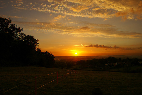 Doras Green Sunset