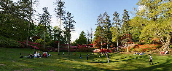 Valley Gardens