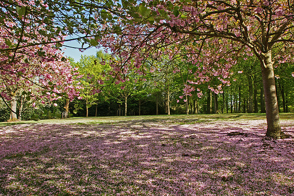 Valley Gardens